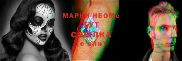 ешки Алексин