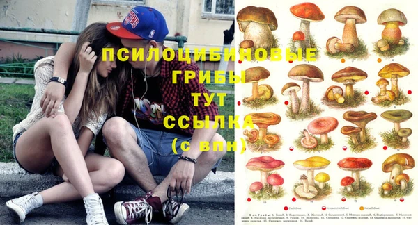МДМА Алексеевка