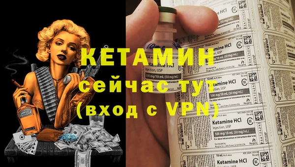 ешки Алексин