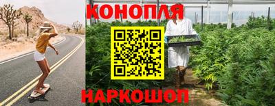 стаф Жуковский