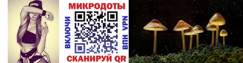 наркота  дарк нет наркотические препараты  Галлюциногенные грибы Cubensis  Мичуринск 