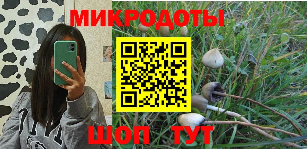 Псилоцибиновые грибы мицелий  Вход с VPN  Мичуринск  Псилоцибиновые грибы мицелий 