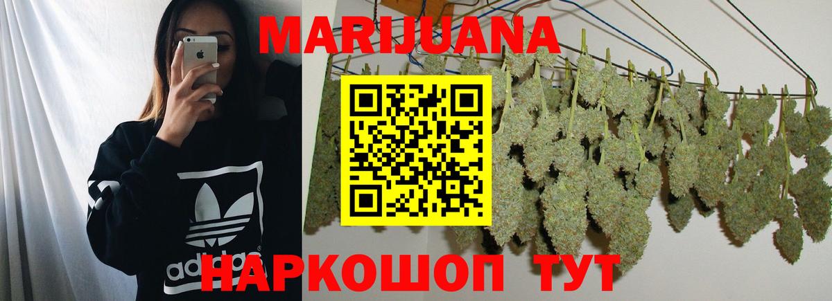 Канабис конопля Мичуринск